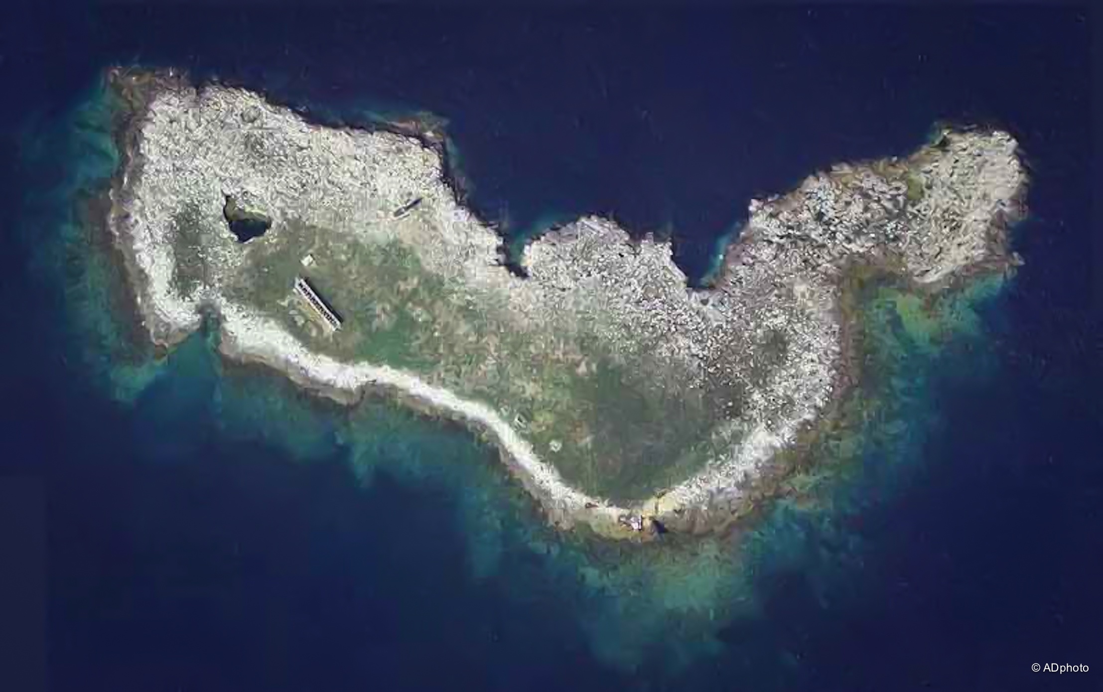 ISOLA PIANOSA - fonte image Marlintremiti