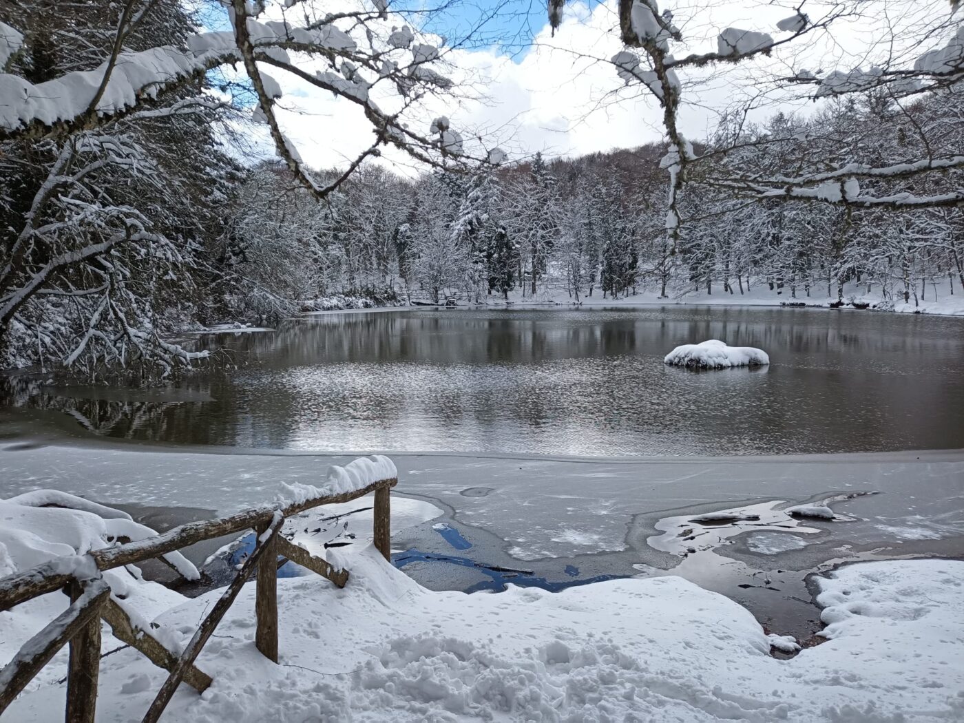 (3BMETEO.COM). Evoluzione meteo Puglia. Si intensifica ulteriormente l'afflusso di correnti gelide di lontana origine russa. Giornata improntata alla formazione di bande convettive e rovesci a carattere sparso e intermittente sulle acque del basso Adriatico, forieri di nevicate a partire da quote pianeggianti su Molise centro-orientale, alta Basilicata e Puglia, abbondanti e insistenti tra le Murge e la Valle d'Itria; i fiocchi potranno a tratti raggiungere anche le aree costiere pugliesi, con particolare riferimento a Barese, Brindisino e Tarantino. Ph Vittorio Agricola (Foresta Umbra, 14 febbraio 2021)