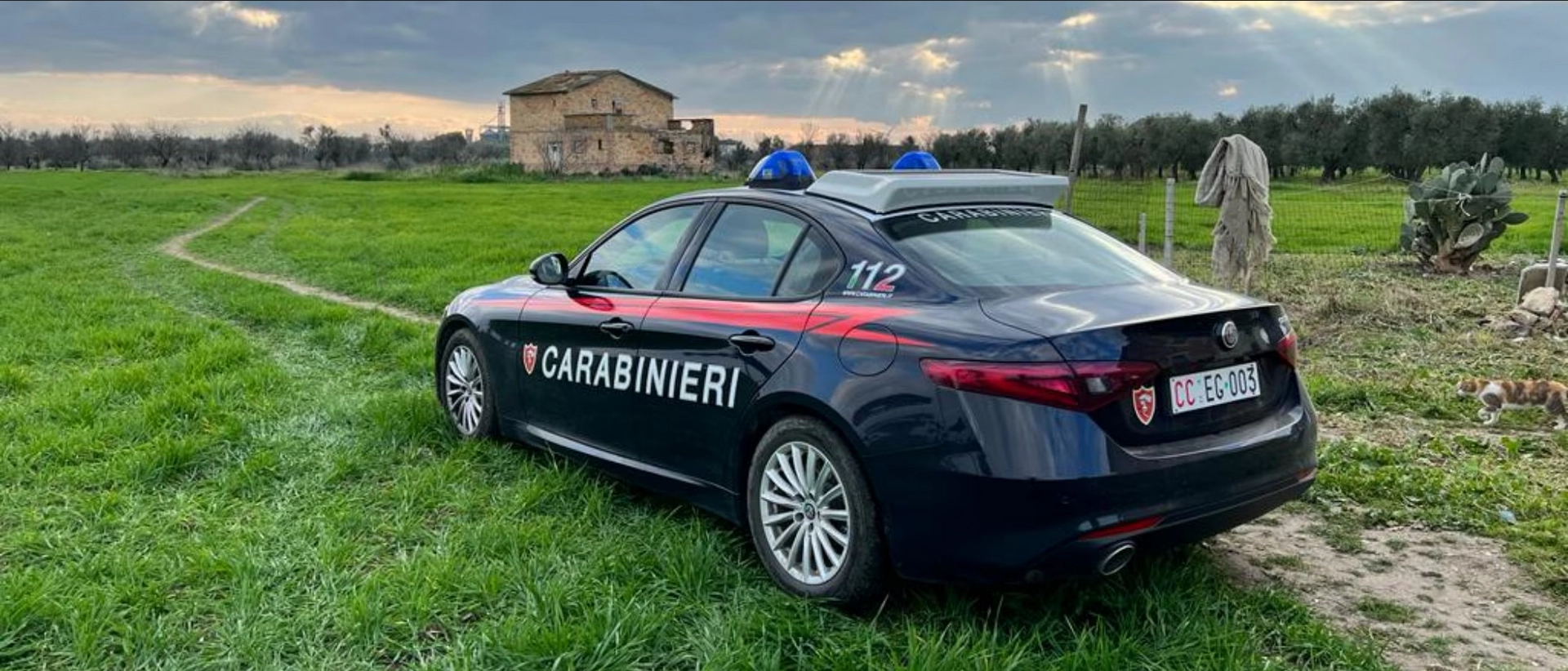 RAINEWS, CARABINIERI