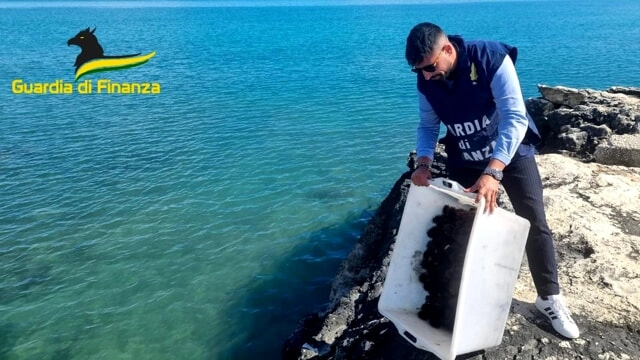 Manfredonia: sequestrati oltre 1500 ricci pescati di frodo