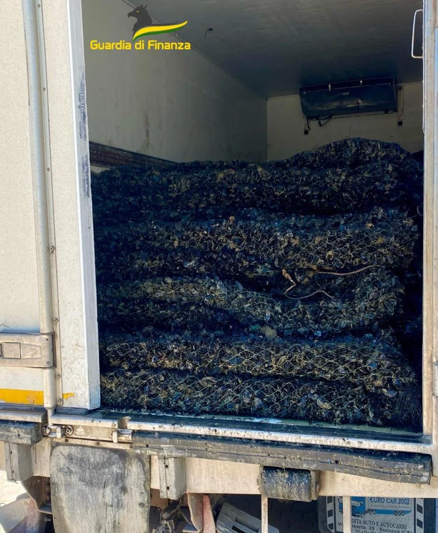 Manfredonia: sequestrate 11 tonnellate di cozze