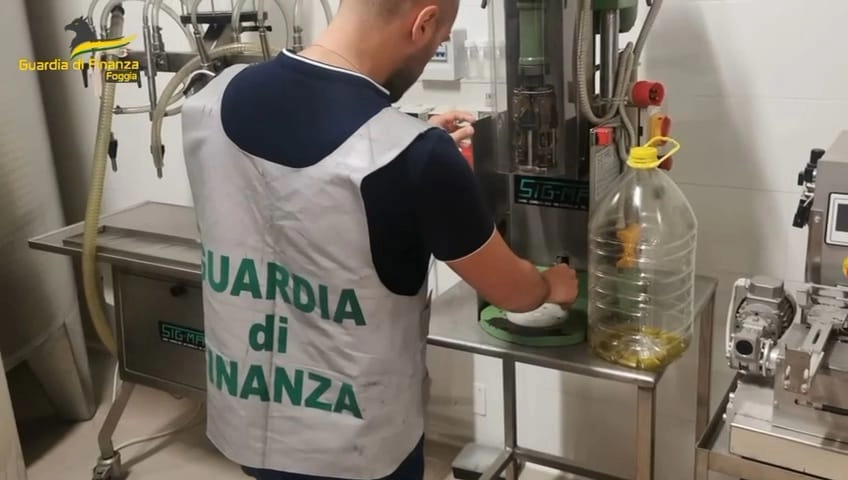 Cerignola, scoperto 3 laboratori clandestini adibiti alla preparazione di extra vergine d'oliva contraffatto